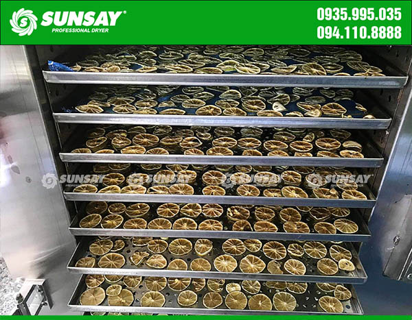 Máy sấy lạnh SUNSA làm chanh sấy hiệu quả vượt trội