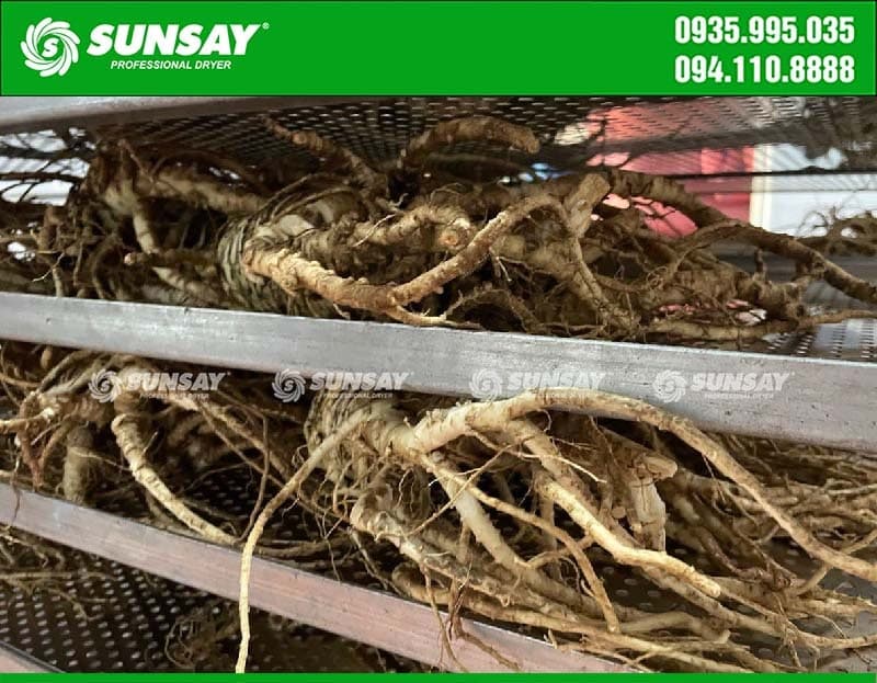 SUNSAY cung cấp máy sấy dược liệu chất lượng