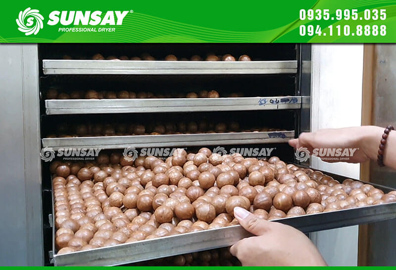Giá máy sấy thực phẩm công nghiệp SUNSAY khá phải chăng